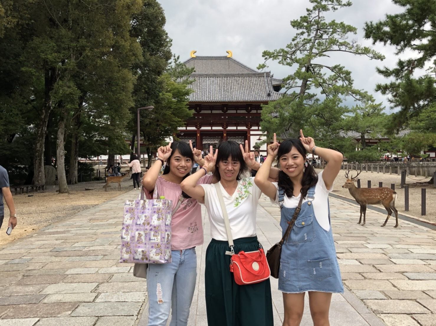 travel with my family in Nara